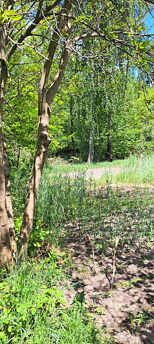 Продаж. Земельна ділянка у СТ «Калиновий Гай», с. Кожухівка 10сот Киев - изображение 2