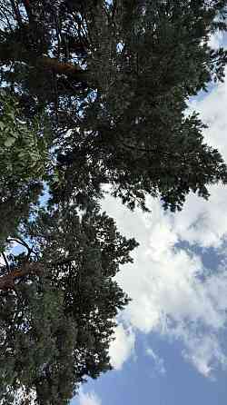 продажа участок под жилую застройку Обуховский, Плюты, 96000 $ 