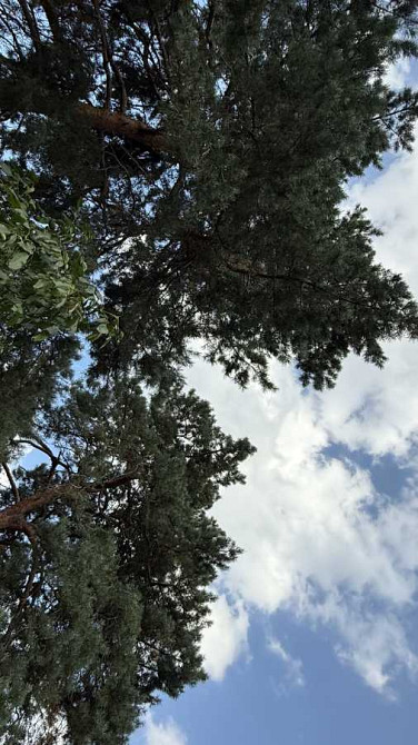 продажа участок под жилую застройку Обуховский, Плюты, 96000 $  - зображення 3