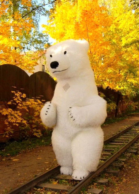 Белый медведь Львов заказ поздравления ростовой куклы аниматора Львів - зображення 4