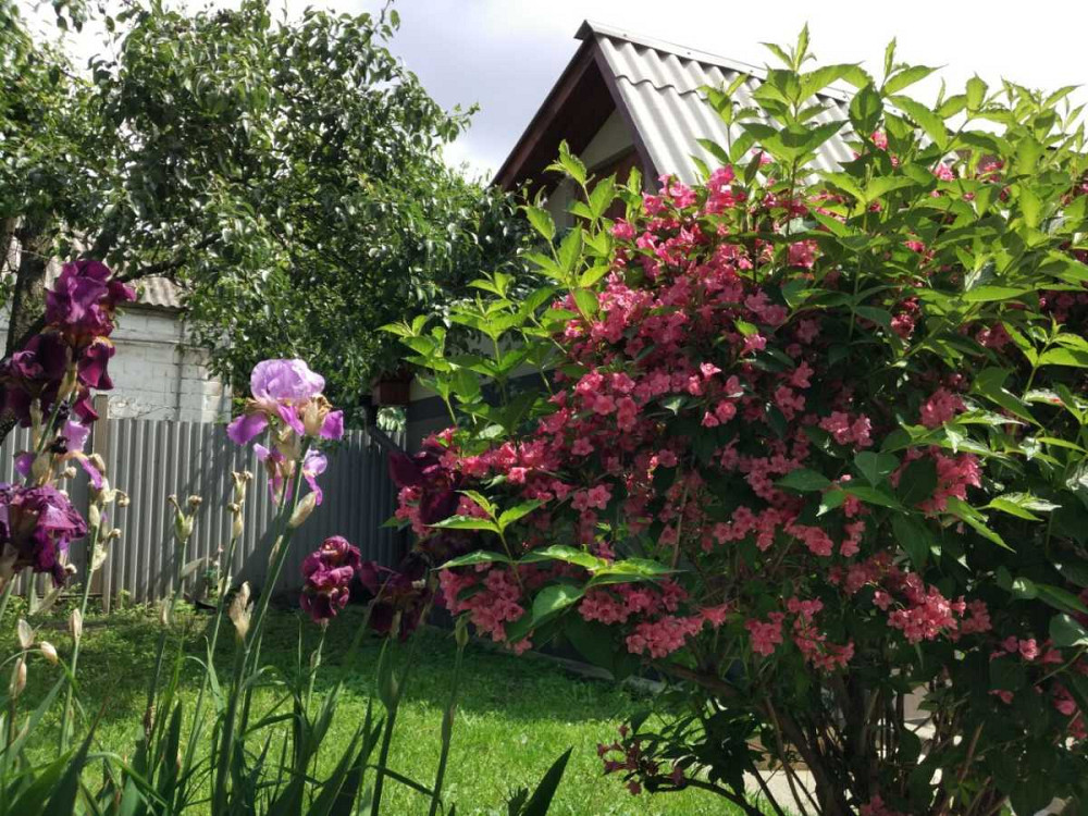 продажа участок под жилую застройку Киев, Печерский, 560000 $ Київ - зображення 1