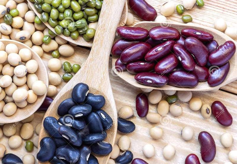 Фасоль (квасоля) оптом Ужгород - зображення 1