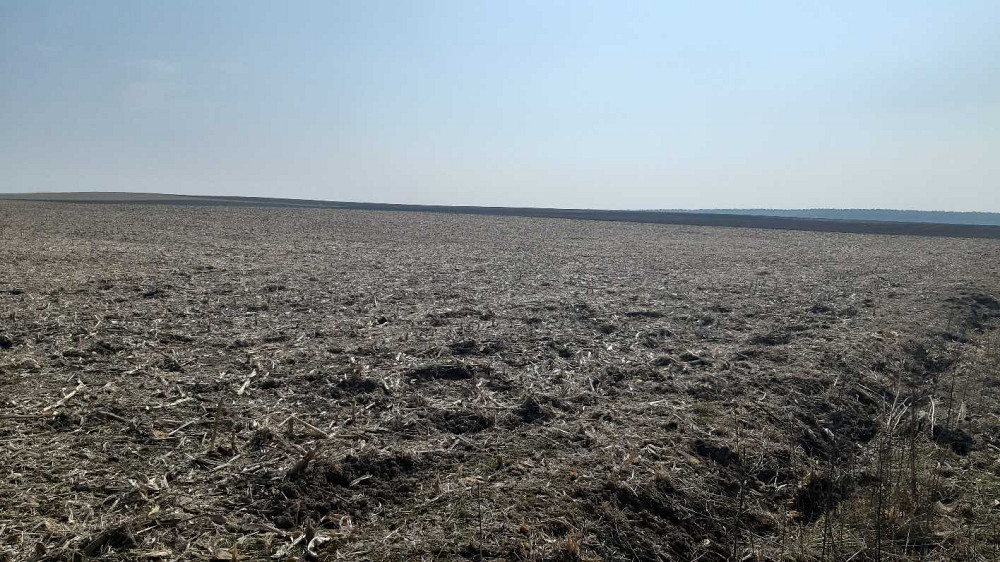 продажа земля сельскохозяйственного назначения Бориспольский, Вороньков, 333000 грн.  - изображение 2