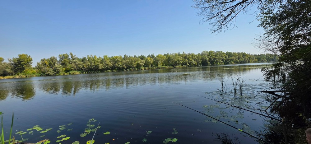 Продам дві ділянки у лісі з виходом до р.Орель, Царичанський район. Дніпро - зображення 1