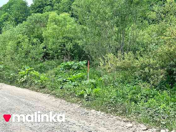 продажа земля сельскохозяйственного назначения Сколевский, Верхнее Синевидное, 20000 $ 