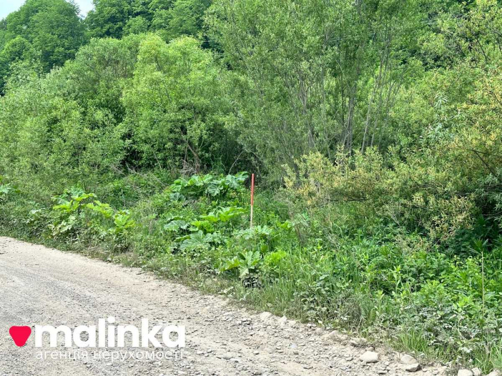 продажа земля сельскохозяйственного назначения Сколевский, Верхнее Синевидное, 20000 $  - изображение 3