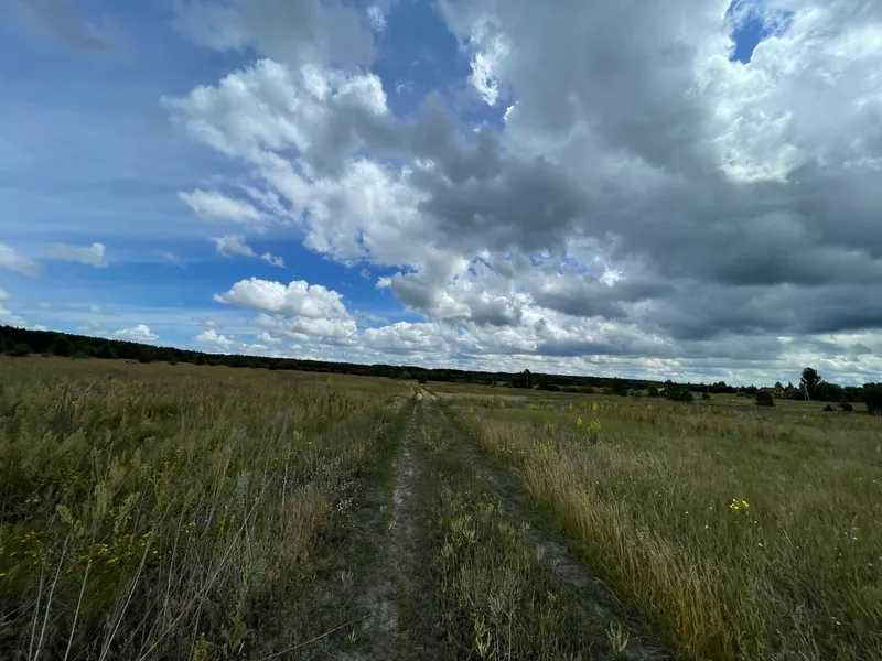 продажа земля сельскохозяйственного назначения Вышгородский, Абрамовка, 80836 грн.  - зображення 2