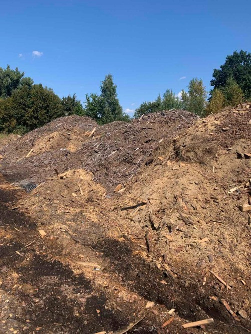 Деревні відходи для мульчування плантацій лохини Васильків - зображення 1