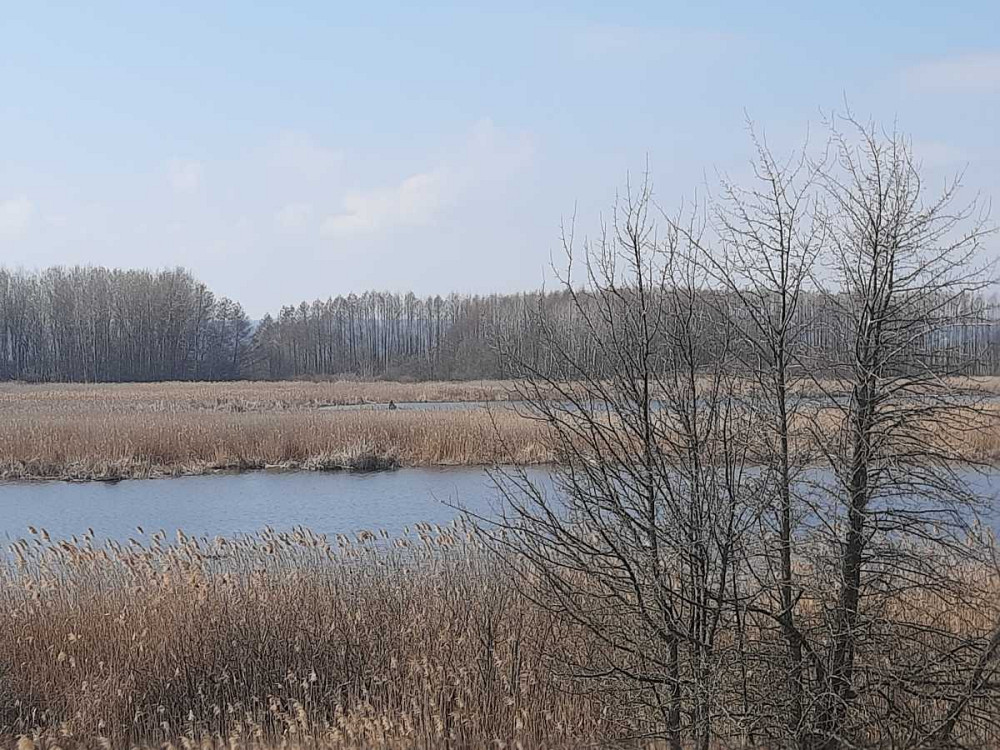 продажа земля сельскохозяйственного назначения Бориспольский, Головуров, 157080 грн.  - изображение 3