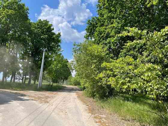 продажа земля сельскохозяйственного назначения Макаровский, Марьяновка, 105000 грн. 