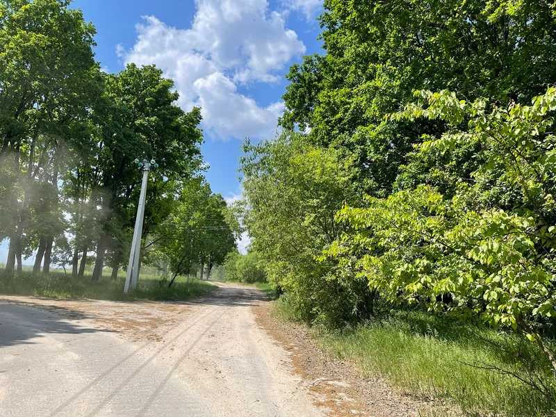 продажа земля сельскохозяйственного назначения Макаровский, Марьяновка, 105000 грн.  - зображення 5