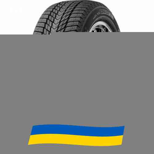 245/45 R19 Roadstone WinGuard ice Plus WH43 102T Легкова шина Киев