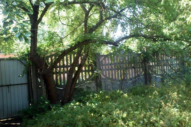 Продам дачу в Осокорках Киев. Киев - изображение 4