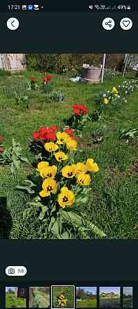 Продам дачну ділянку в с. Дачне Одеської області. 9 соток. Одесса