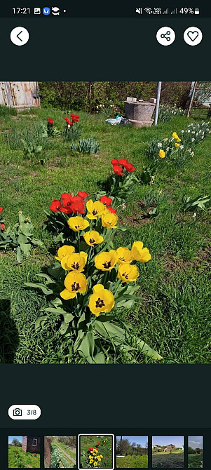 Продам дачну ділянку в с. Дачне Одеської області. 9 соток. Одеса - зображення 1