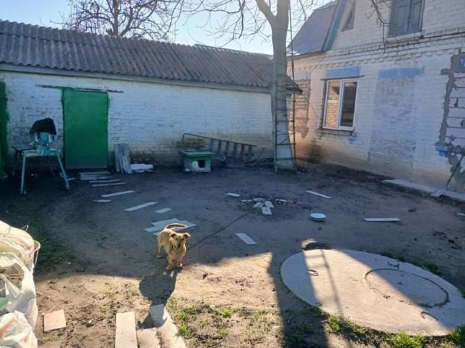 Продається будинок в смт Велика Димерка Бровары - изображение 2
