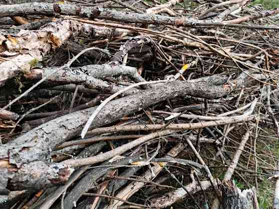 БЕСПЛАТНО МНОГО Отдам Деревья Дрова Ветки Бревна Пеньки Отопление Пиломатериалы Київ
