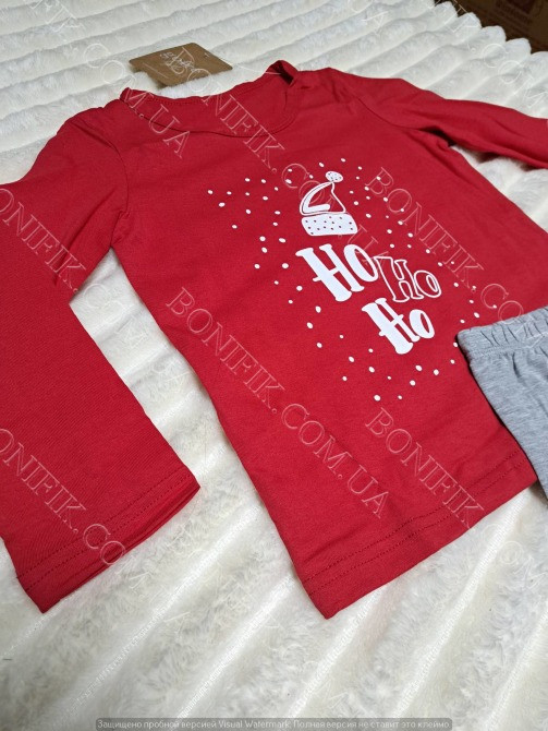 Комплект пижамы для мальчиков "Family" (арт. BPK 0181/01/01/1) Кривий Ріг - зображення 4