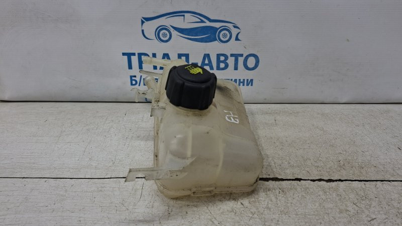 Бачок радиатора (расширительный) Renault Megane 2008-2016 217100005R (Арт. 73339) Киев - изображение 4