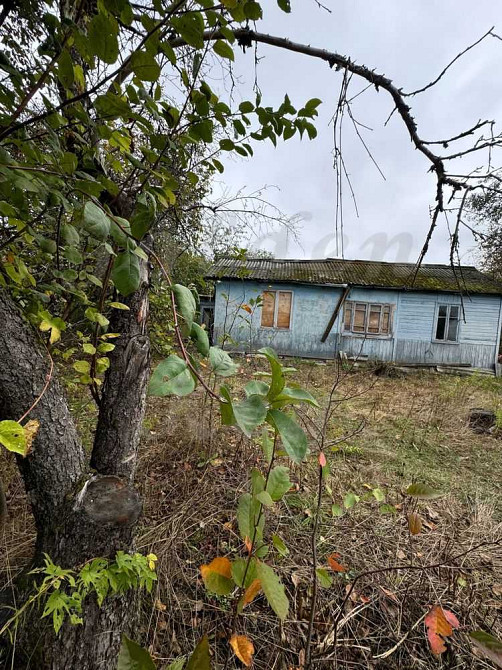 продажа земля сельскохозяйственного назначения Бориспольский, Чубинское, 18000 $  - зображення 2