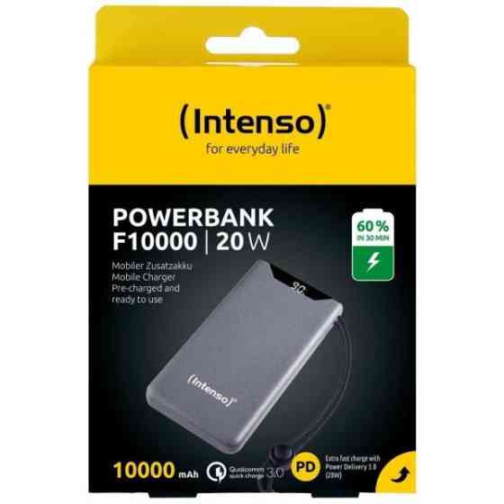 Power Bank Intenso F10000 10000mAh Grey (7332034) UA Харків