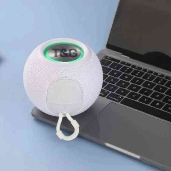 Колонка портативная Bluetooth T&G TG337 white белая Київ