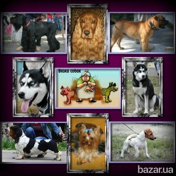 Предлагаем для вязки Сумы - изображение 1