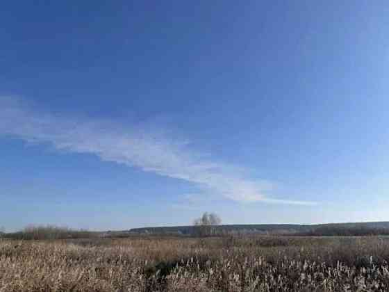 продажа земля сельскохозяйственного назначения Броварский, Пуховка, 295612 грн. 