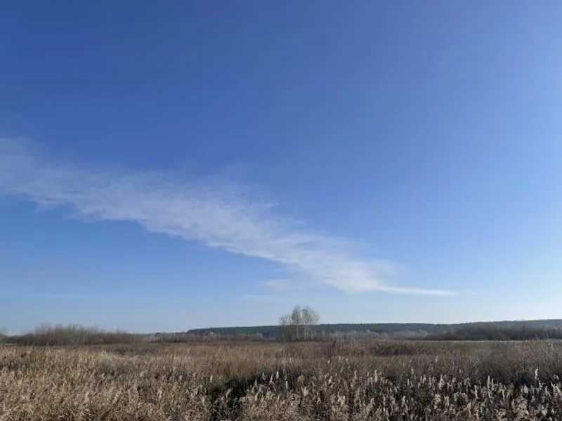 продажа земля сельскохозяйственного назначения Броварский, Пуховка, 295612 грн.  - зображення 1