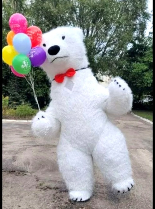 Белый медведь Чернигов поздравление мишка аниматор Чернігів - зображення 5