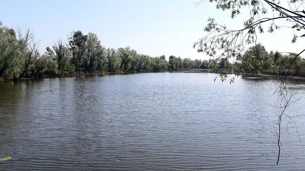 продажа земля сельскохозяйственного назначения Бориспольский, Головуров, 183140 грн.  - изображение 5