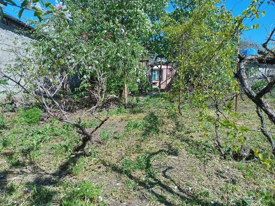 2 дома на участке 20 соток Одеса - зображення 8