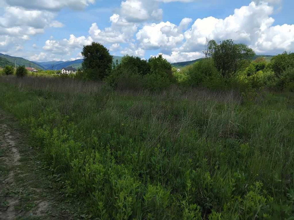 продажа земля коммерческого назначения Свалявский, Свалява, 74850 $ Свалява - зображення 6