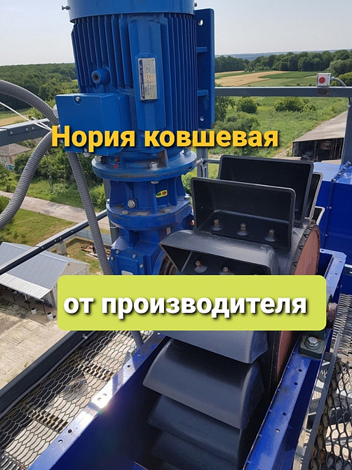 Нория ленточная НК-50 для зерна Киев - изображение 1