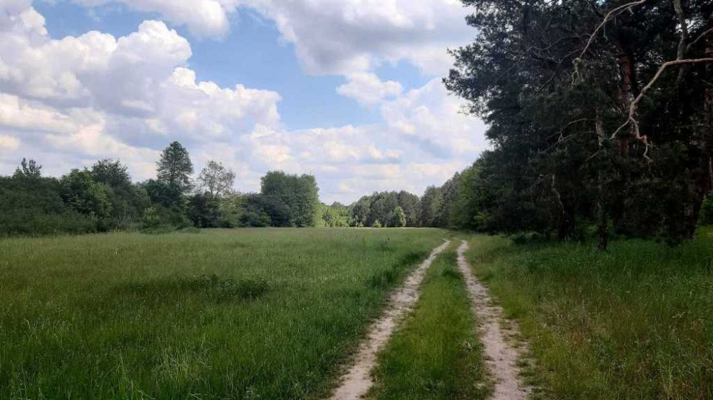 продажа земля сельскохозяйственного назначения Бориспольский, Головуров, 220362 грн.  - зображення 9