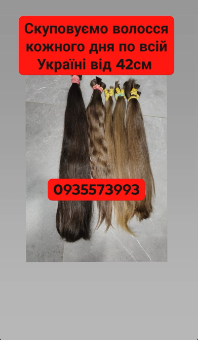 Купуємо волосся в Києві та по всій Україні від 42см -0935573993 Київ - зображення 1