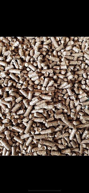 Корм для дойных коров пивная дробина Шепетівка - зображення 2