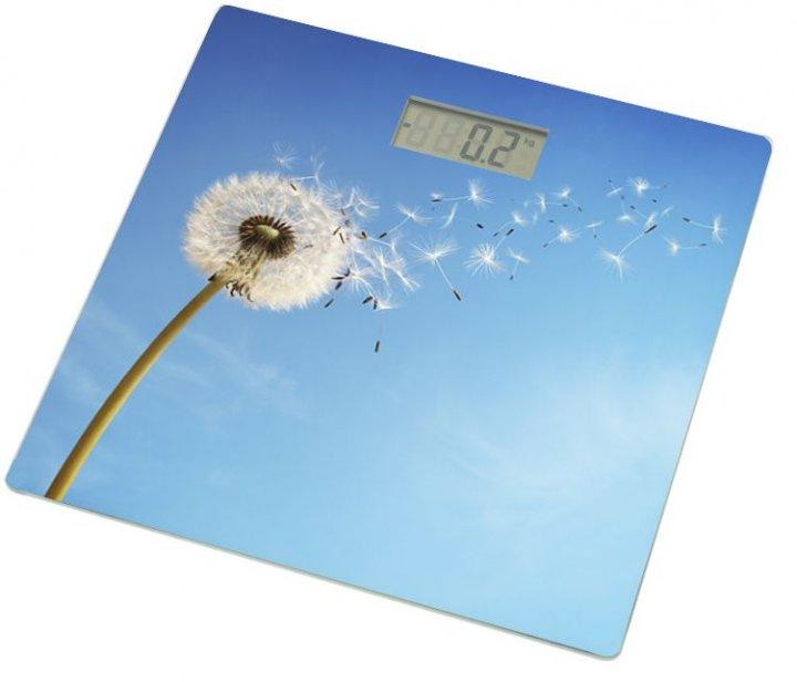 Весы напольные Grunhelm BES-BLB 180 кг Київ - зображення 1