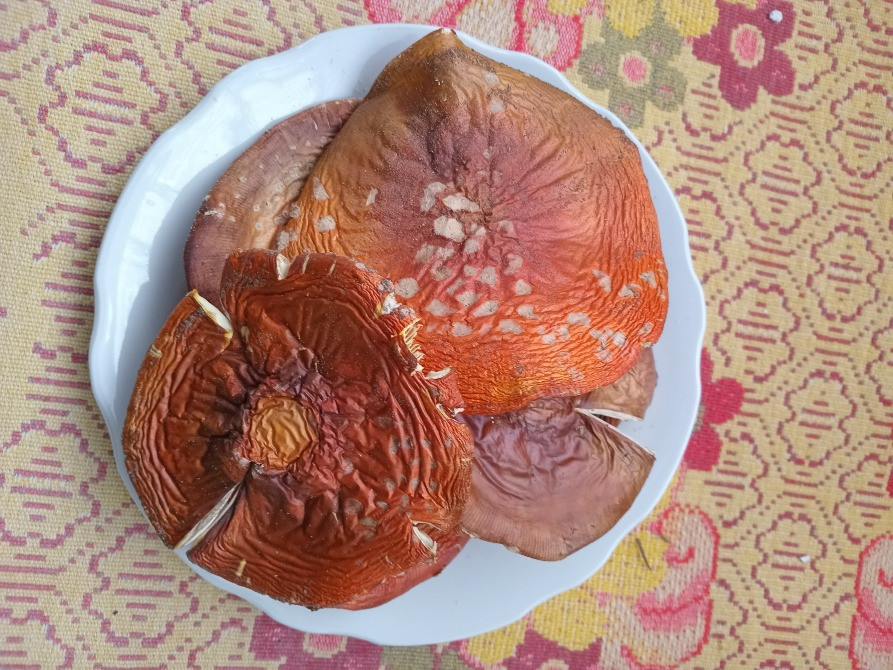 Червоний мухомор, сушений 2 сорт Овруч - изображение 2