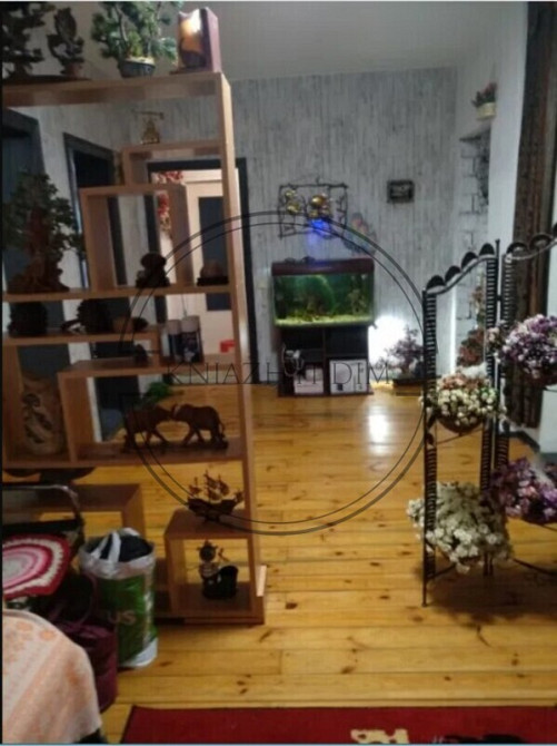 Дом 500 м2 в селе возле Новобогдановки водоем с каскадом № 229827 Киев - изображение 9