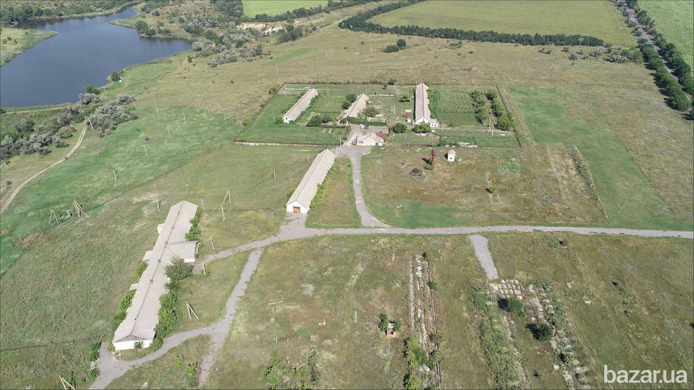 продажа помещения свободного назначения, здания Криничанский, Малософиевка, 200000 $  - зображення 6