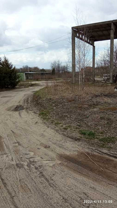 продажа земля коммерческого назначения Сарненский, Сарны, 20000 грн. Сарны - изображение 3