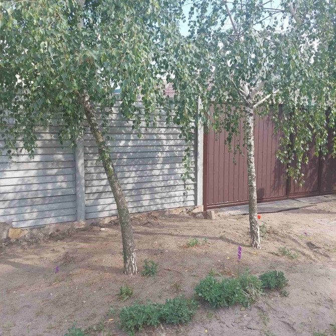 ЕВРОЗАБОР.Виробництво.Встановлення. Днепр - изображение 11