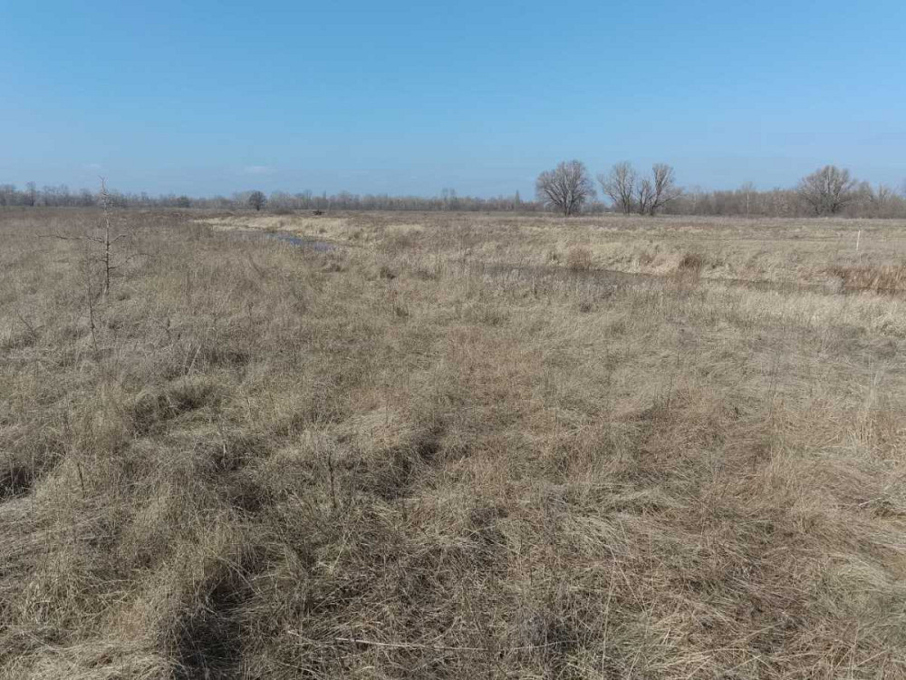 продажа земля сельскохозяйственного назначения Броварский, Погребы, 14000 $  - зображення 7