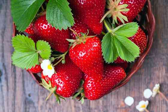 Продам полуницю Сквира