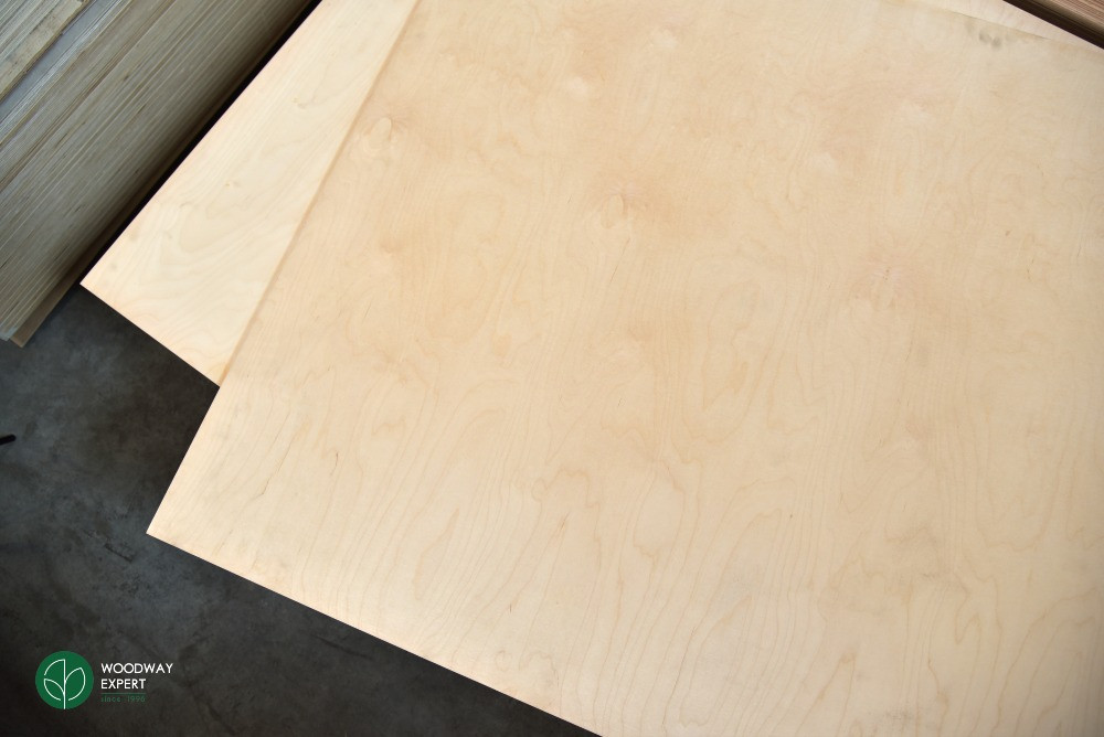 Фанера полегшена ФК (облегченная) СЕЙБА (2,5х1,22м) в наявності Київ - зображення 3