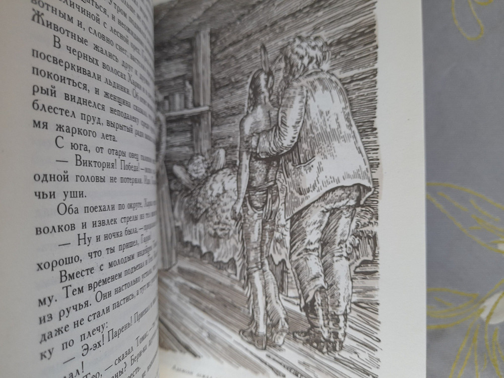 Лизелотта Вельскопф-Генрих Топ и Гарри бпнф приключения фантастика Запорожье - изображение 4