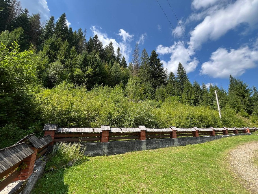 Земельна ділянка в Татарові біля водоспаду Гук 0.25 га Яремче - зображення 9