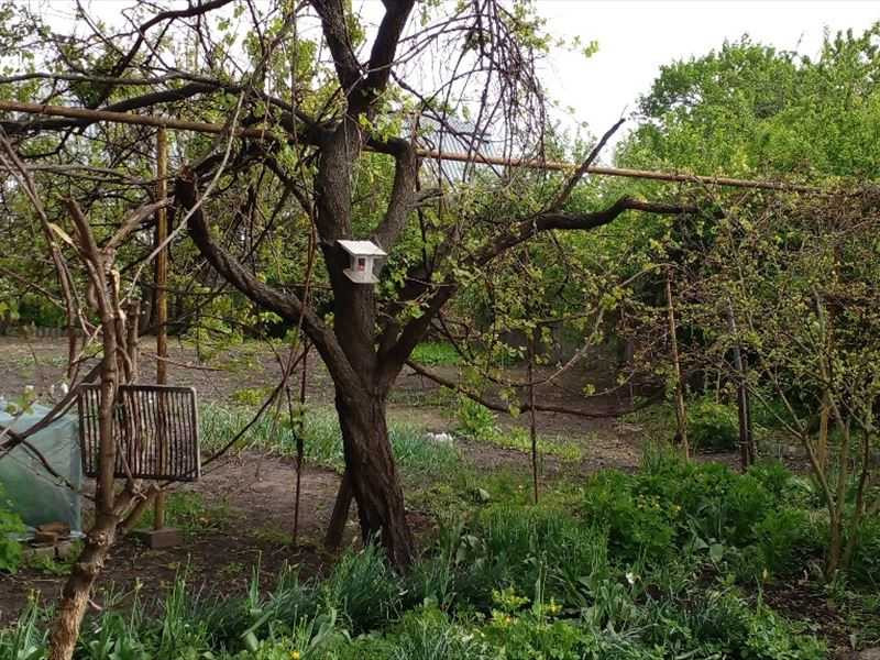 продажа 4-к дом Кропивницкий, Подольский, 1331675 грн. Кропивницький - зображення 8