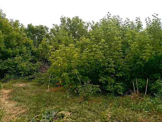 3 участка по 6 соток Одесса